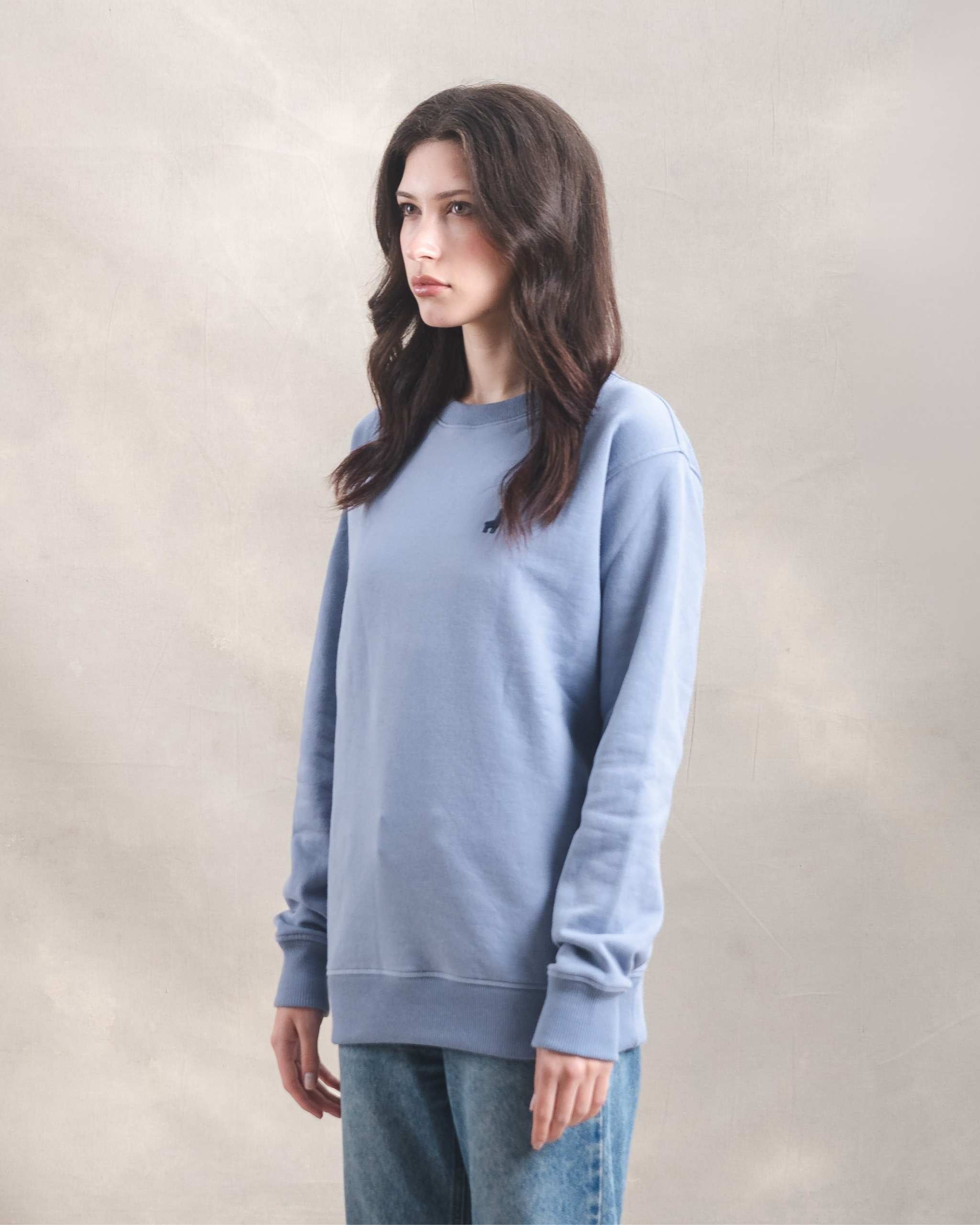 Polera Crewneck Oversize Blue Lila