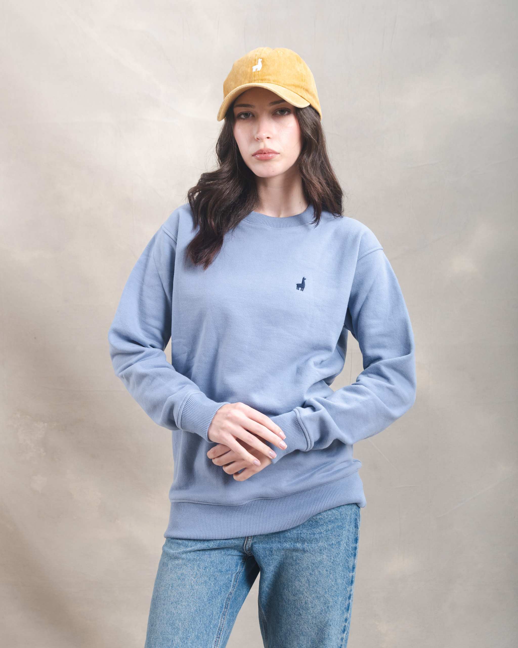 Polera Crewneck Oversize Blue Lila