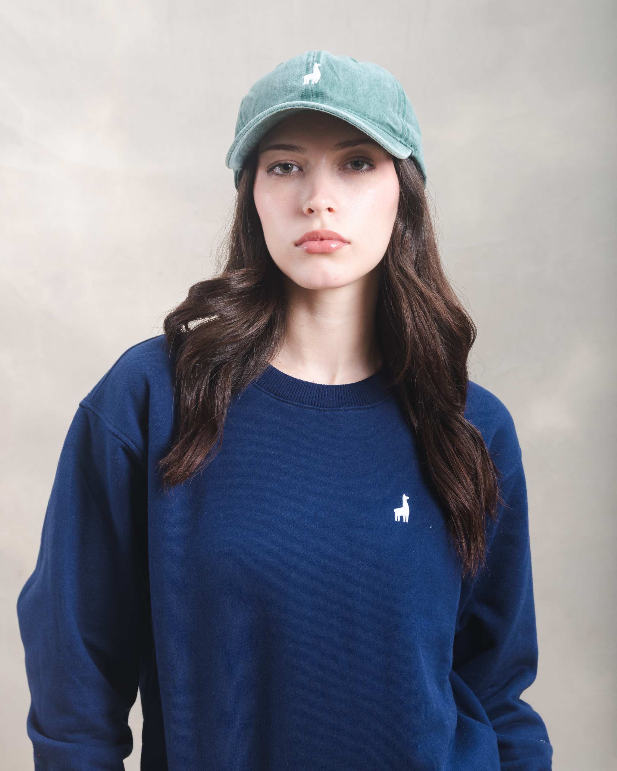 Polera Crewneck Oversize Azul