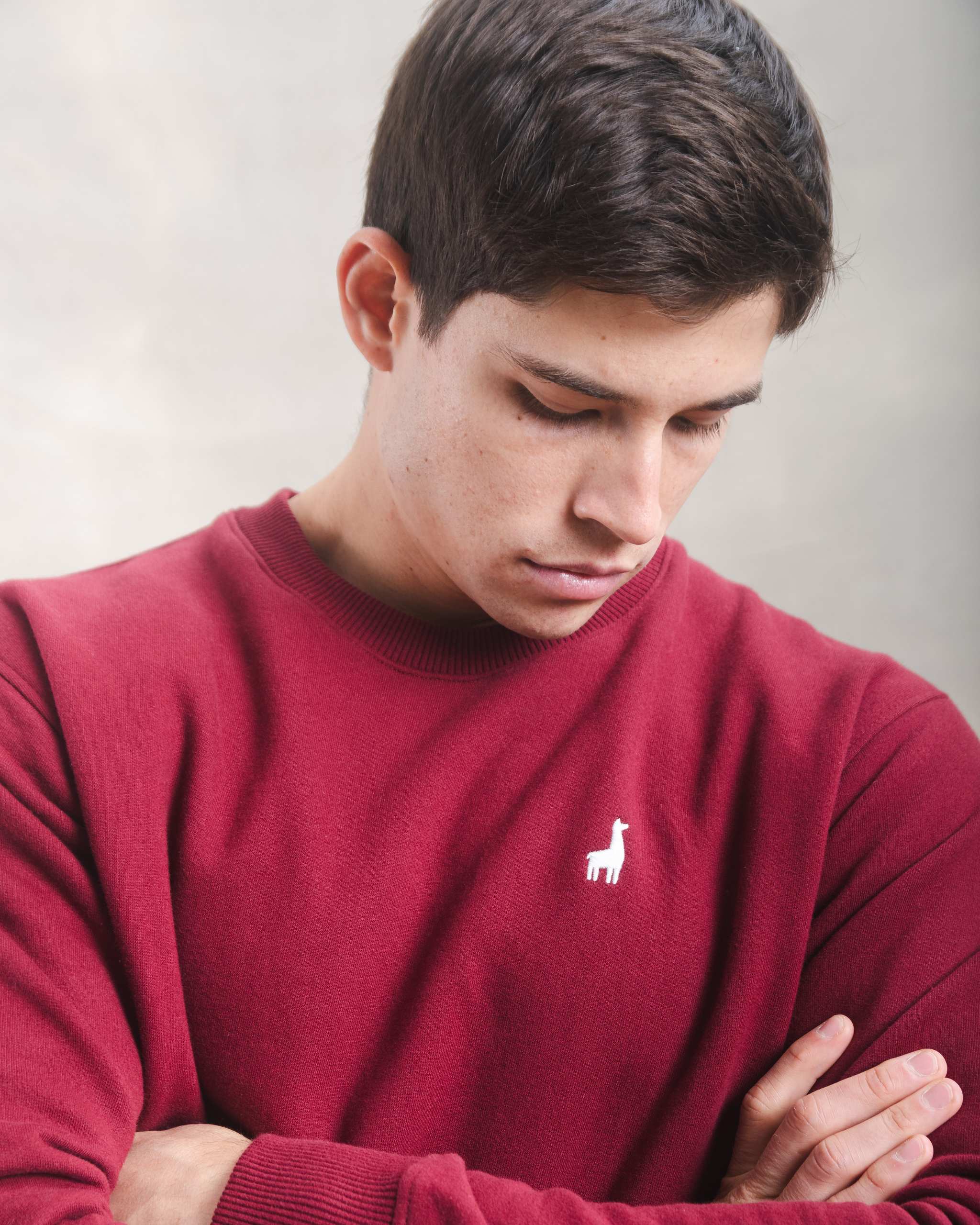 Polera Crewneck Guinda