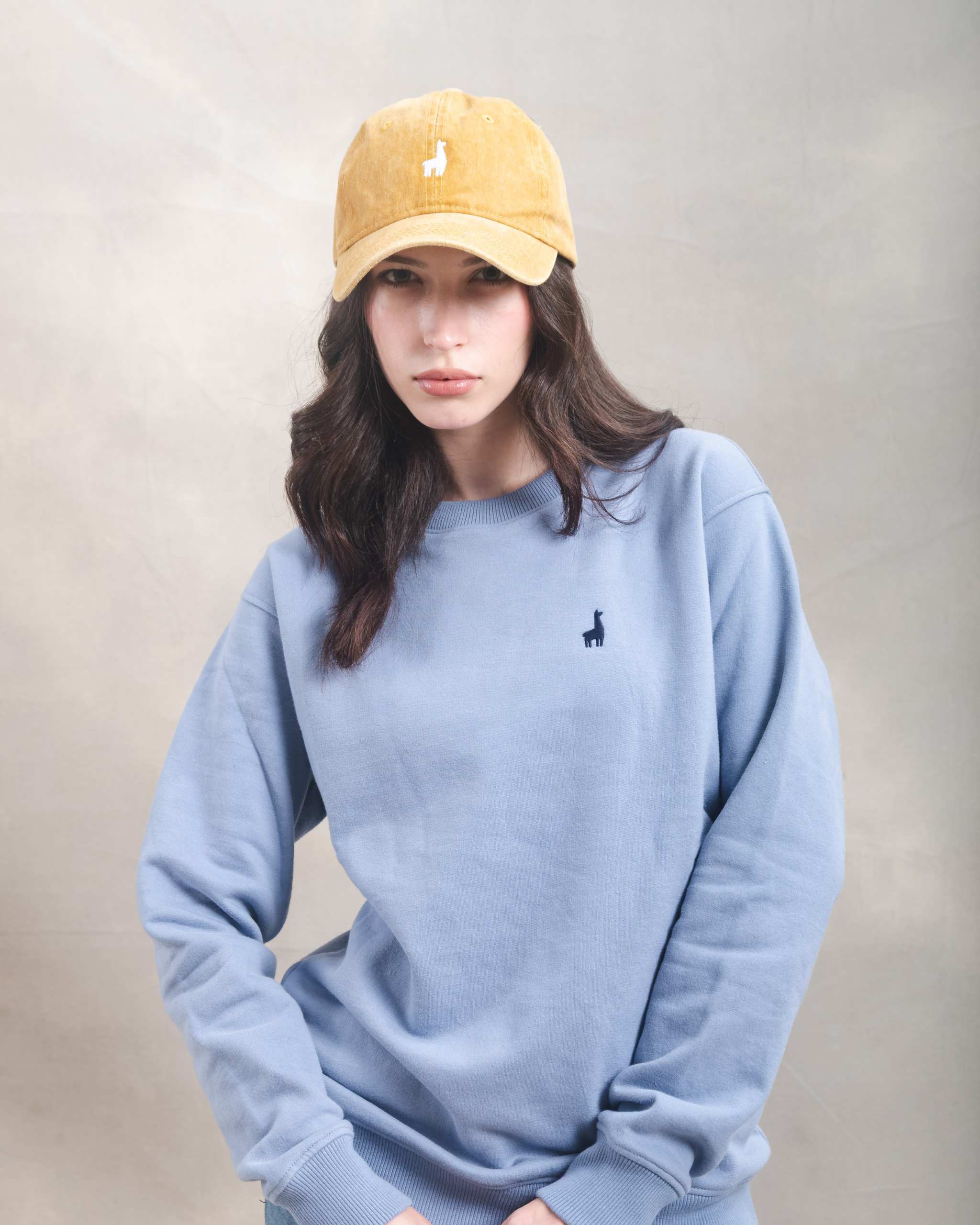 Polera Crewneck Oversize Blue Lila