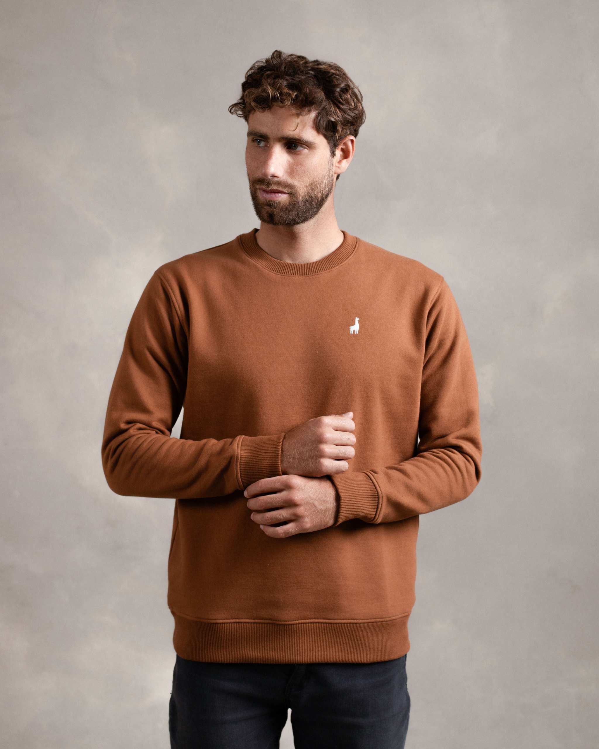 Polera Crewneck Camel