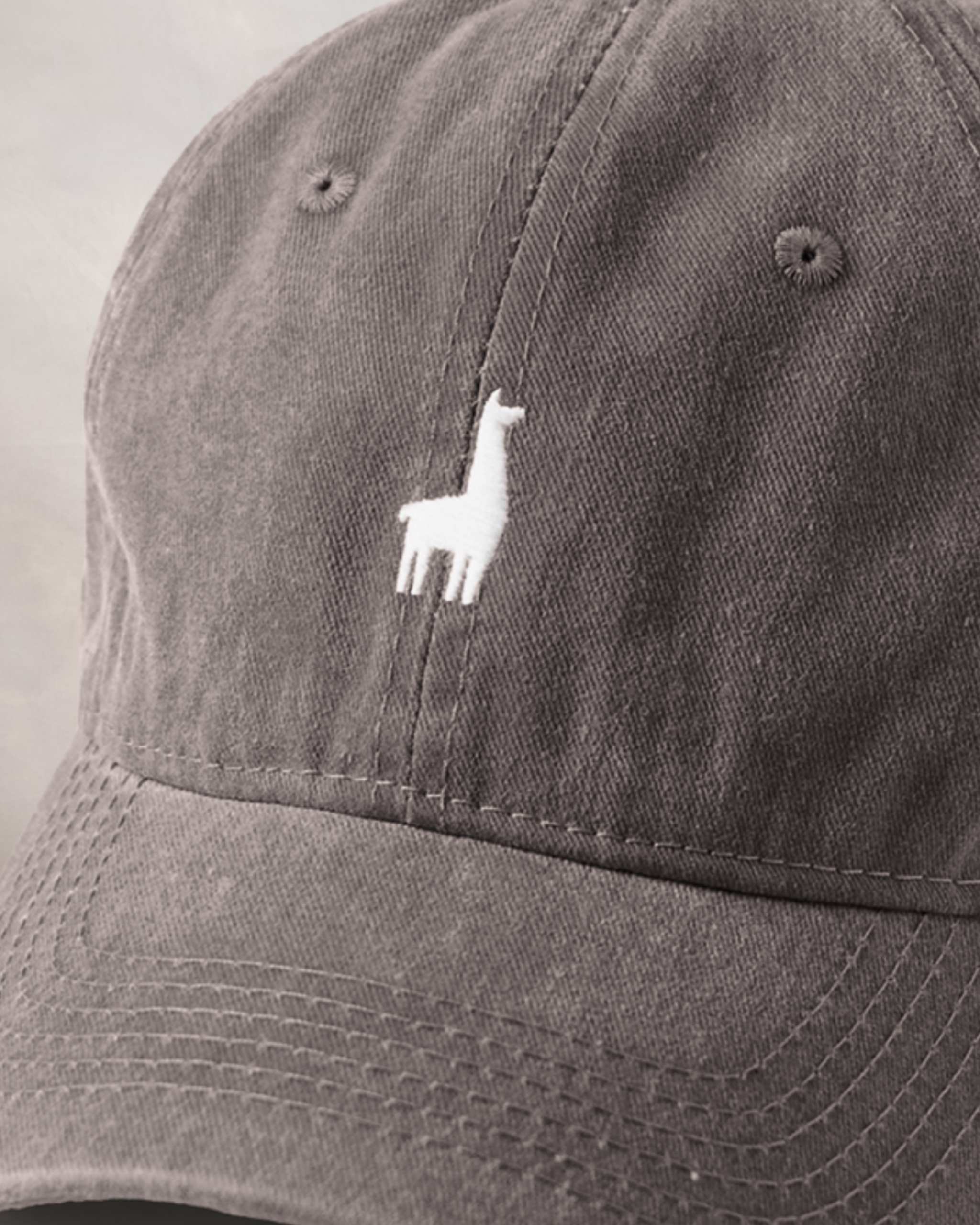 Gorra Marrón Qénido