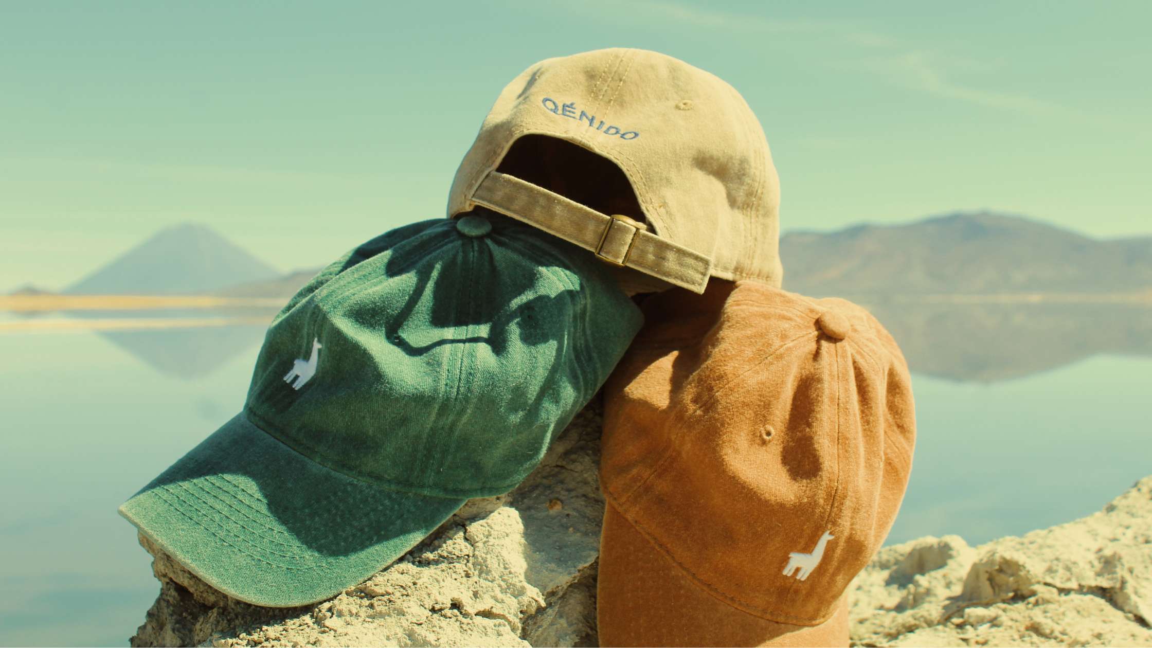 10,000 gorras. 10,000 viajes. 10,000 árboles plantados. 1 llama.