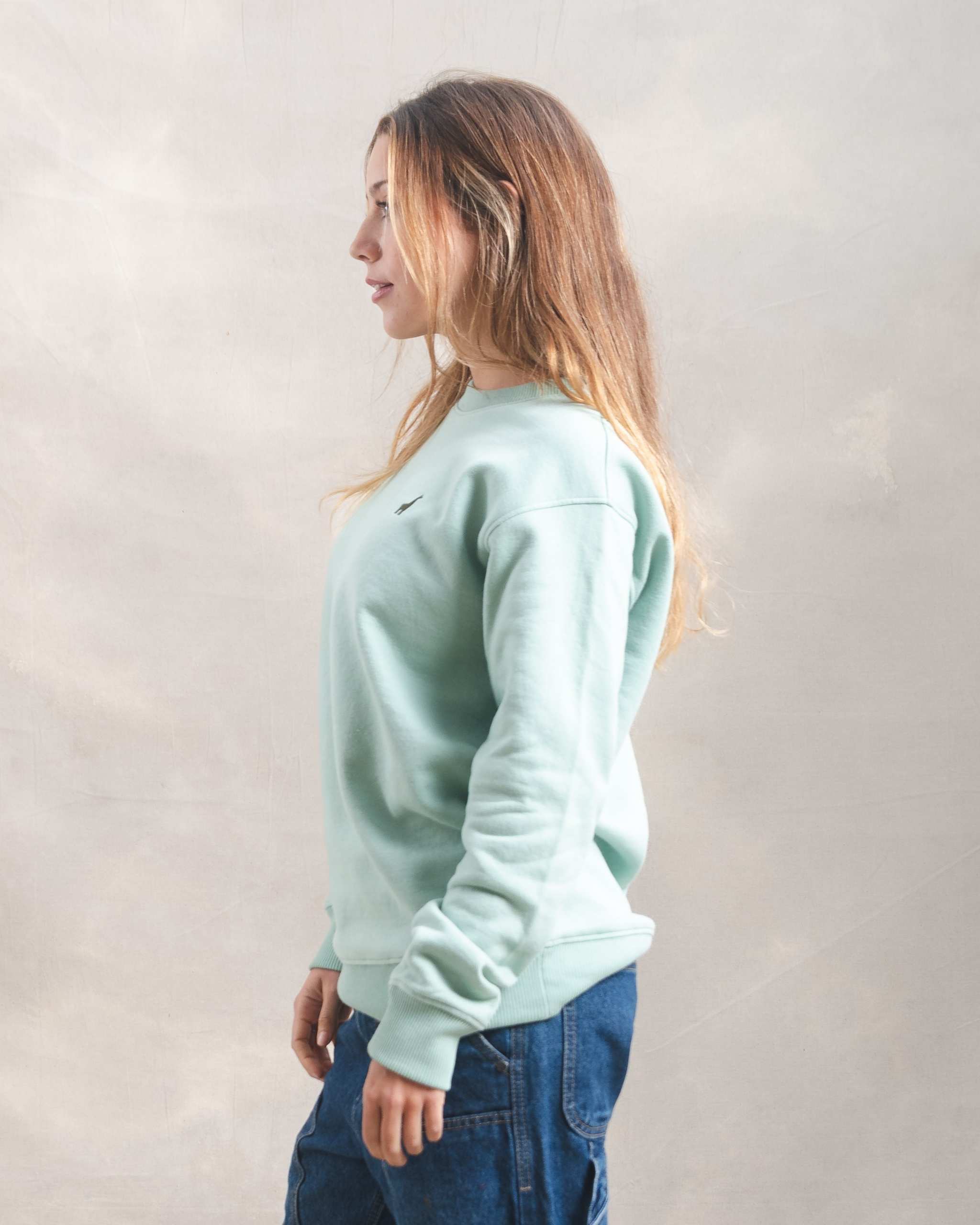 Polera Crewneck Oversize Menta