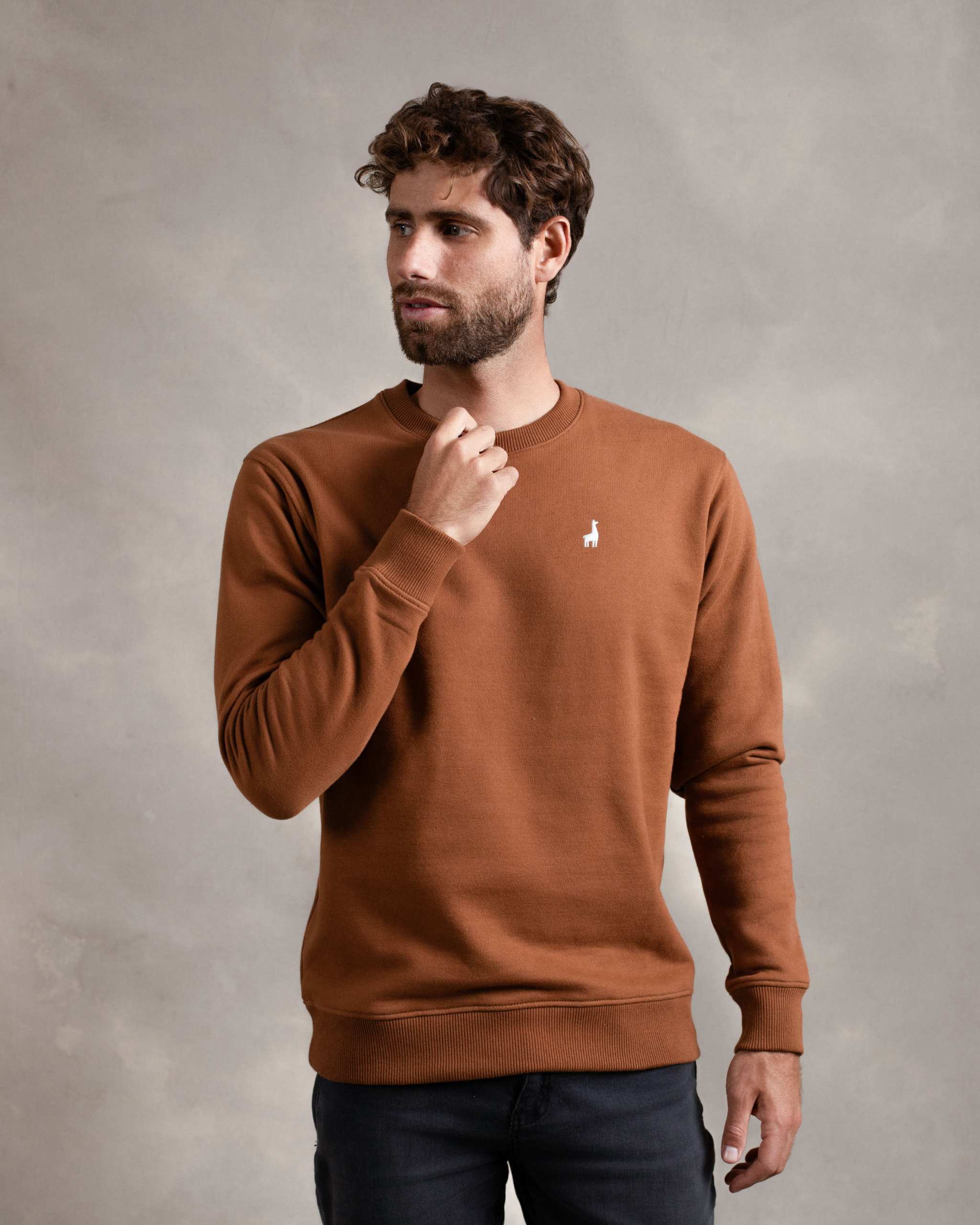 Polera Crewneck Camel