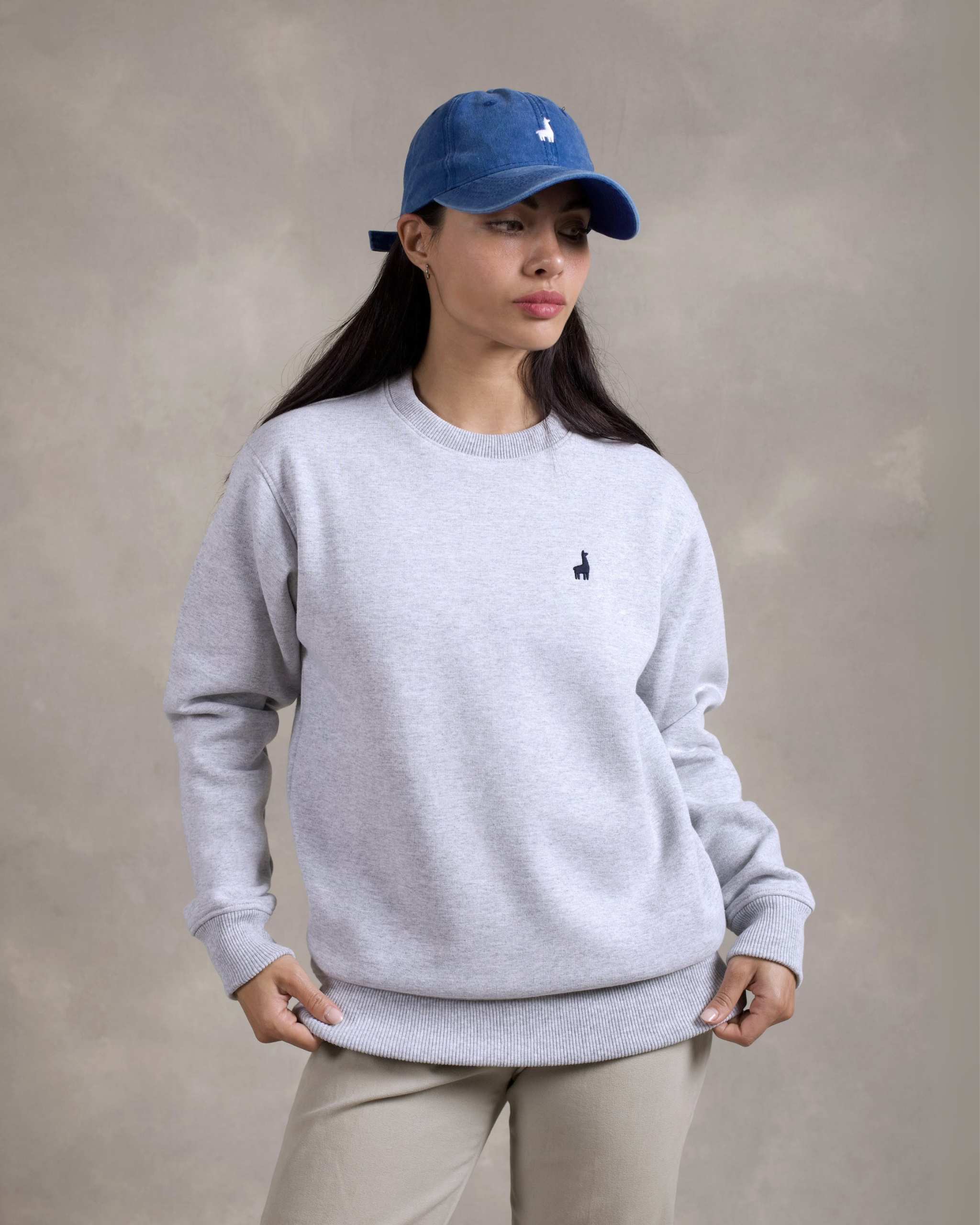 Polera Crewneck Oversize Gris Melange